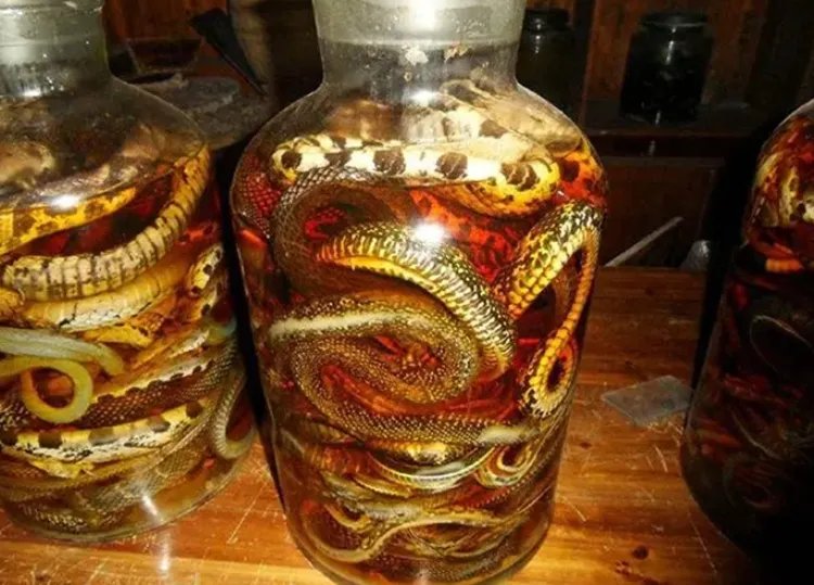 蛇酒的功效与作用