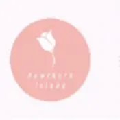 山楂岛公众号是什么 山楂岛公众号介绍