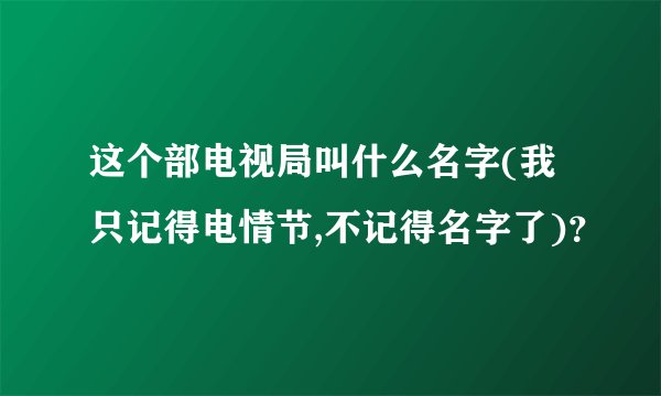 这个部电视局叫什么名字(我只记得电情节,不记得名字了)？