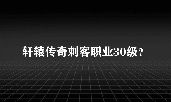 轩辕传奇刺客职业30级？
