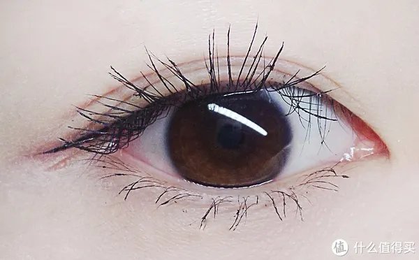 喵酱评测|14支睫毛膏，真人吐血测评！