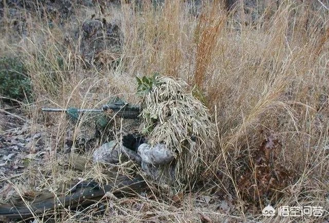 特种兵的伪装迷彩服，能迷惑眼睛到什么地步？