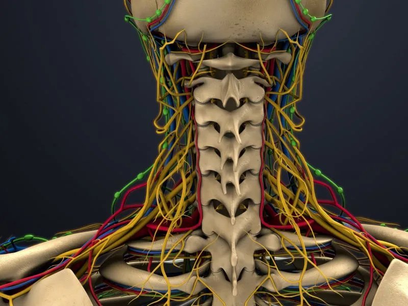 治疗颈椎病的枕头