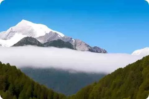 豆瓣高分日本纯爱电影 日本纯爱电影排行榜前十名