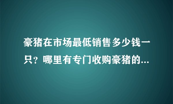 豪猪在市场最低销售多少钱一只？哪里有专门收购豪猪的地方？大神们帮帮忙
