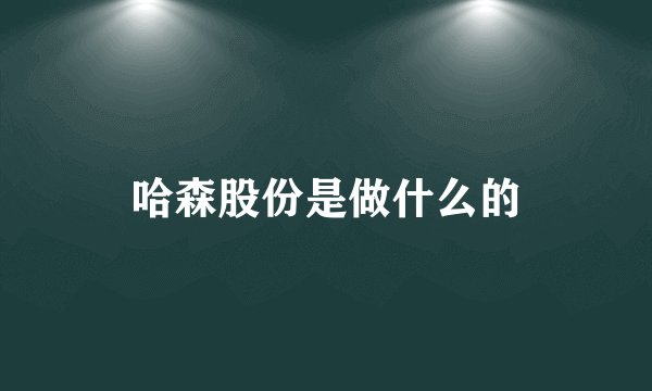 哈森股份是做什么的