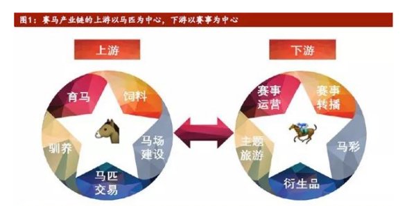 海南为什么紧急叫停赛马申请？