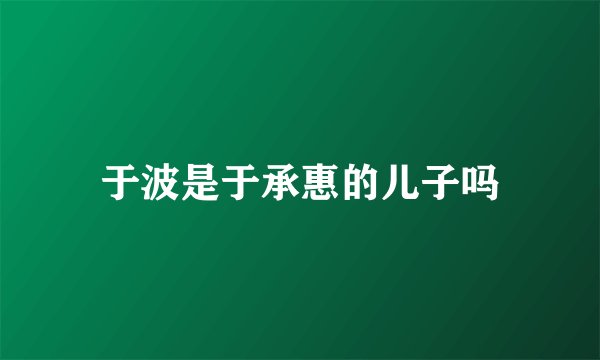 于波是于承惠的儿子吗