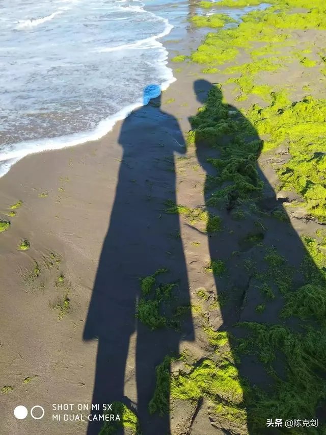 钱塘潮是如何形成的呢？