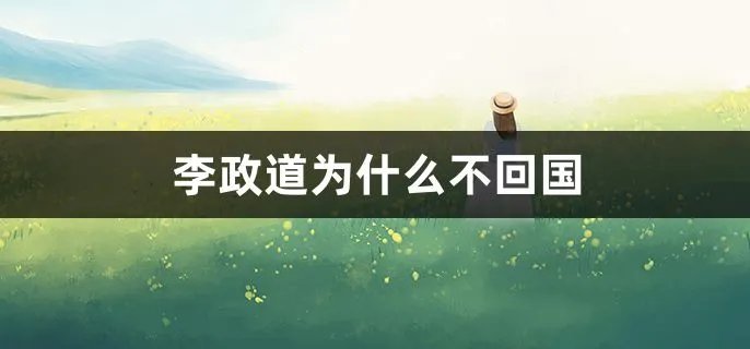 李政道为什么不回国