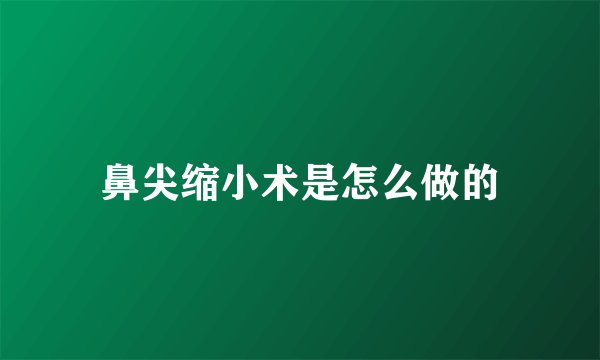 鼻尖缩小术是怎么做的