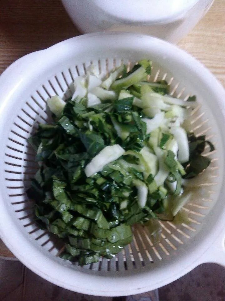 青菜炒肉丝的做法，青菜炒肉丝怎么做