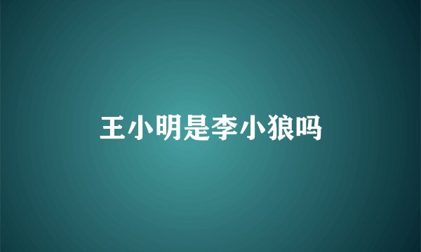 王小明是李小狼吗