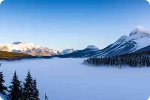 乾隆皇帝后妃子女简介，共42嫔妃/27子女(令妃一人生6个)