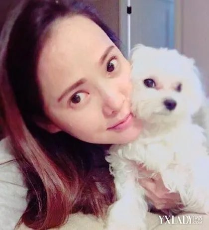 伊能静嫉妒爱犬抢老公挺5月孕肚震醒不敢逃生