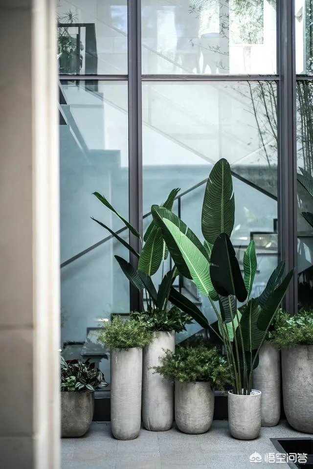 系统窗好还是平移窗好？