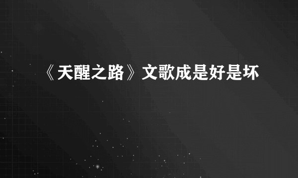 《天醒之路》文歌成是好是坏