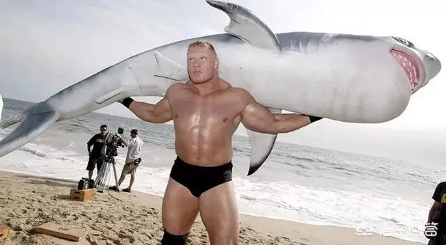 UFC选手的工资一般是多少？