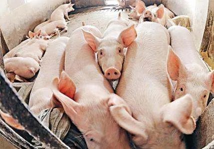 软性大宗商品价格普遍上涨，上涨之后有什么后果？