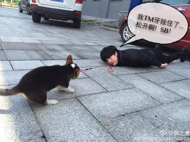 薛之谦因病入院,这一年他到底有多努力?