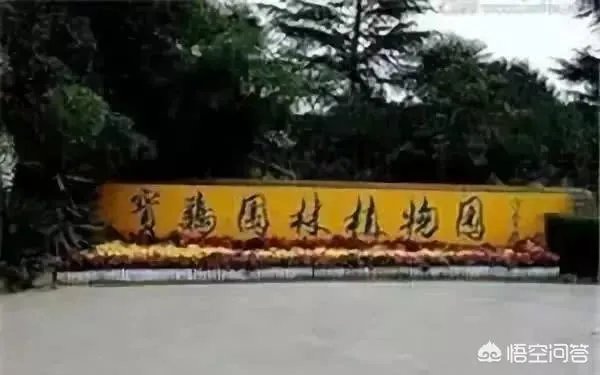 宝鸡除了陈仓老街，还有哪些值得一去的特色街区？