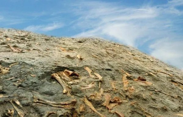 如果出现九星连珠或五星连珠时，会发生什么事情？