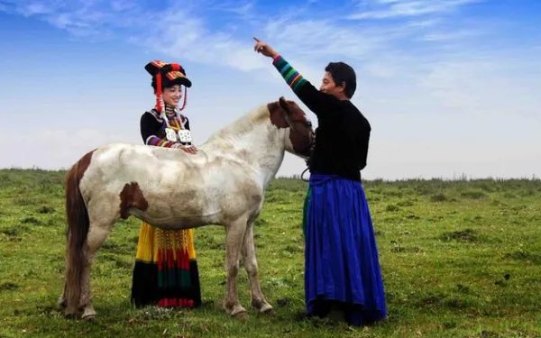 写草原的歌都有哪些