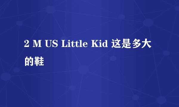2 M US Little Kid 这是多大的鞋