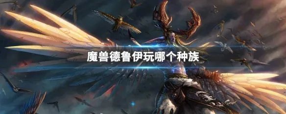 魔兽德鲁伊玩哪个种族