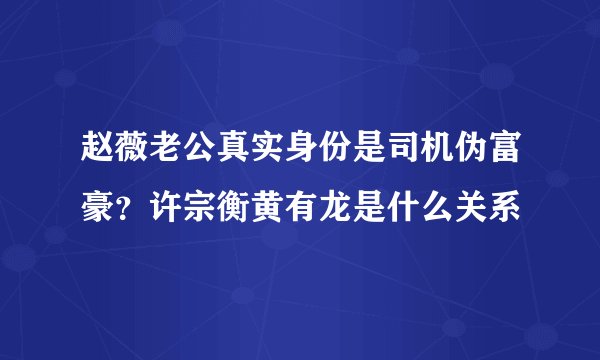 赵薇老公真实身份是司机伪富豪？许宗衡黄有龙是什么关系