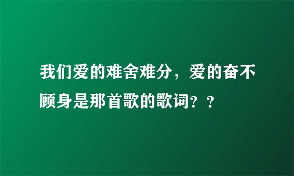 我们爱的难舍难分，爱的奋不顾身是那首歌的歌词？？