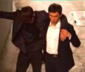 车侧翻鱼儿遭哄抢合理嘛？