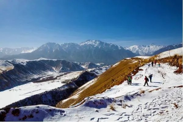 青海祁连山突降大雪，对当地游客有何影响？