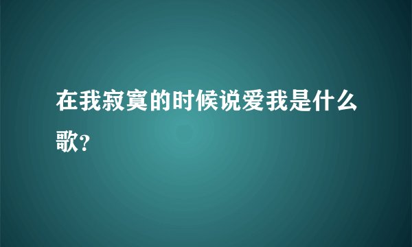 在我寂寞的时候说爱我是什么歌？