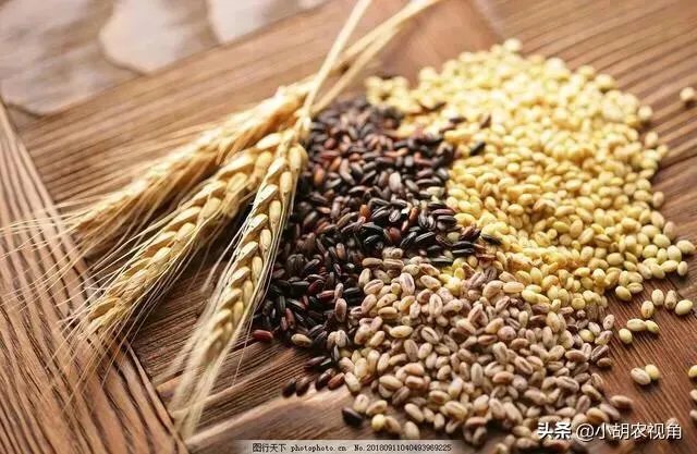 受疫情影响，已有国家禁止出口粮食，你怎么看？