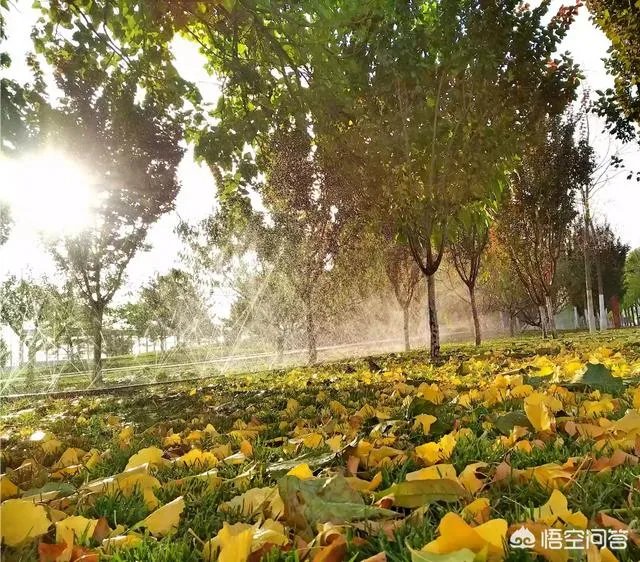 摄影是艺术吗？