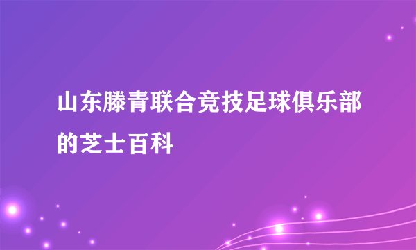 山东滕青联合竞技足球俱乐部的芝士百科
