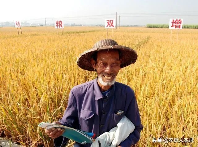 正品复合肥有哪些?