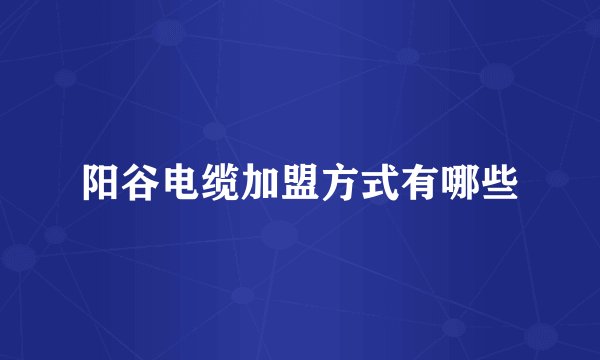 阳谷电缆加盟方式有哪些