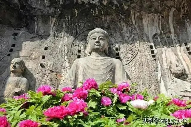 洛阳有多少文化场所