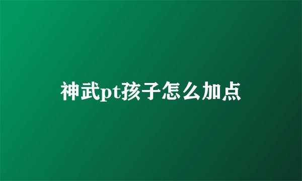 神武pt孩子怎么加点