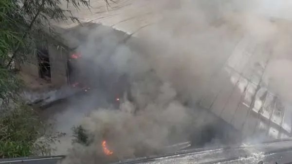 湖南一养猪场起火150头猪被烤焦,这给养猪场老板造成了多大的损失?