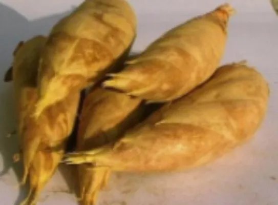 冬笋和春笋的区别