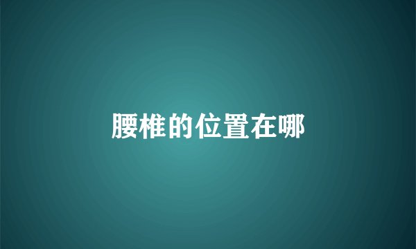 腰椎的位置在哪