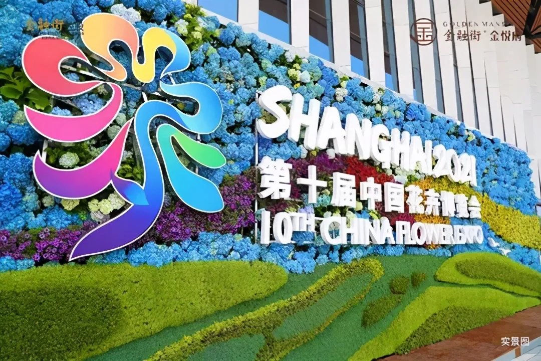 聚焦花博会，遇见1.5理想岛居生活！