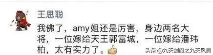 如何看待王思聪说潘玮柏的老婆是Amy的一名大将?