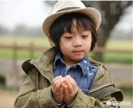 这些当红明星家的双胞胎，你认为谁家的最可爱？