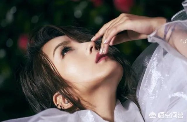 怎么评价何洁离婚事件？