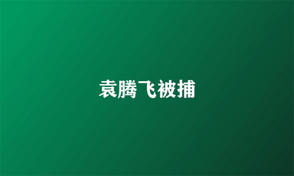 袁腾飞被捕