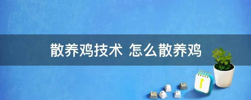 散养鸡技术 怎么散养鸡